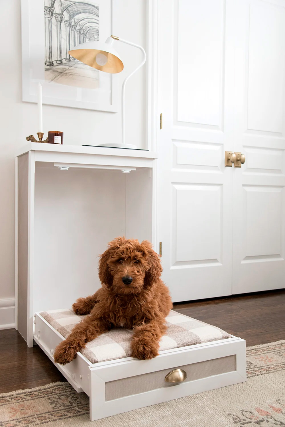 sample-dog-murphy-bed